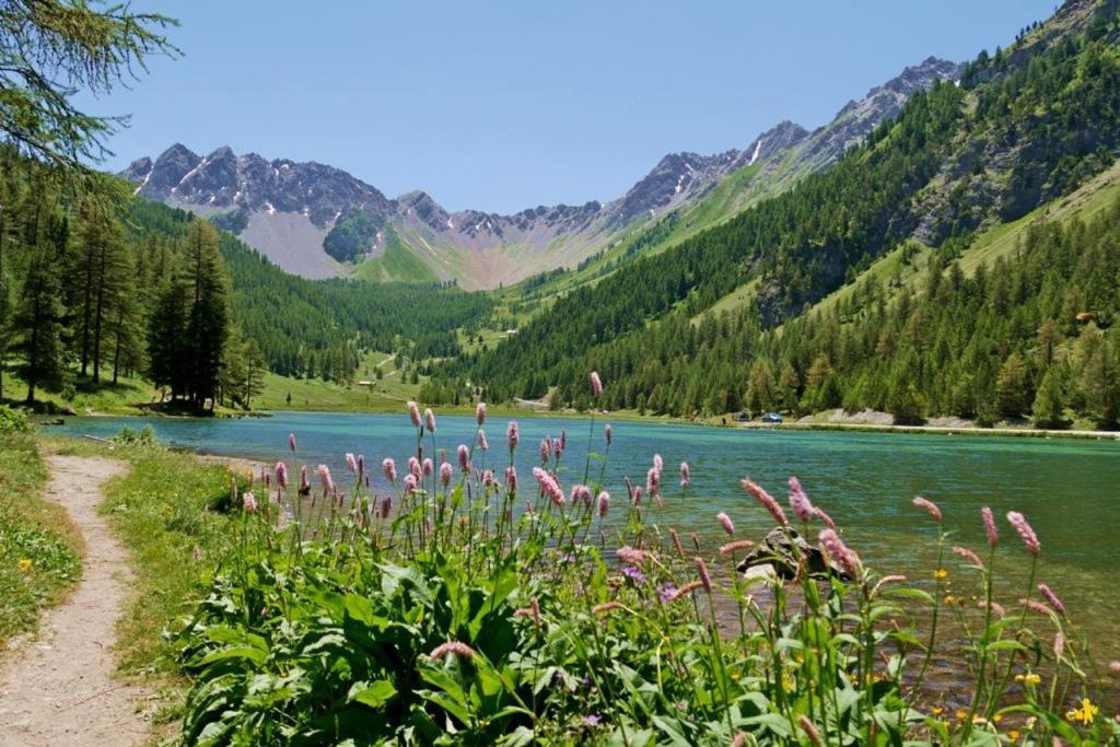 L'Oxalys Studio ! Coin Montagne - Pied Des Pistes & Centre Ville Briancon  Ngoại thất bức ảnh